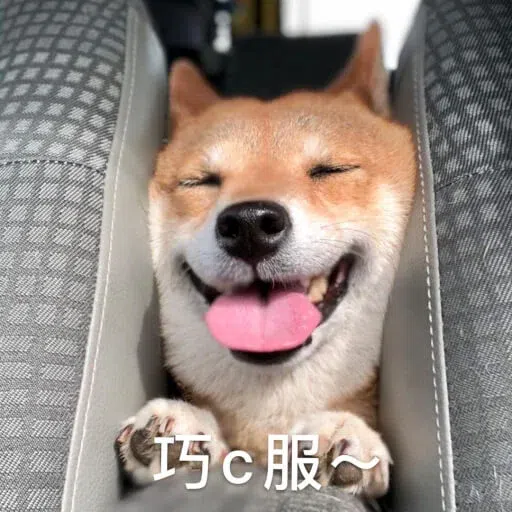 HK meme - Sticker 15
