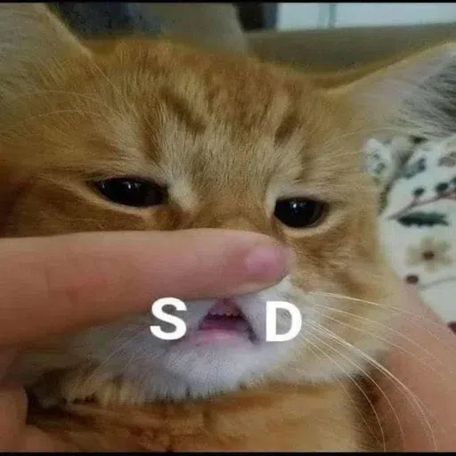 HK meme - Sticker 23