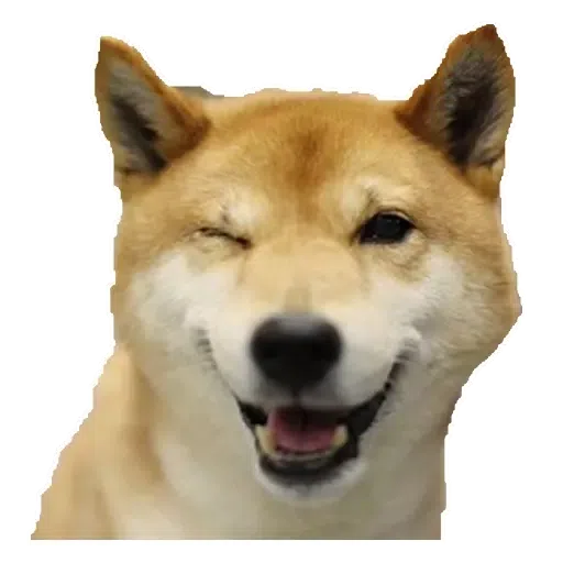 WhapZap Epic! - Sticker 10
