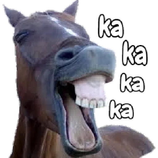 WhapZap Epic! - Sticker 24