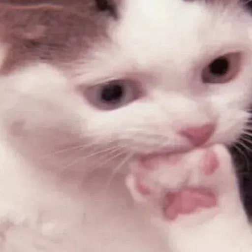 kucing 2 - Sticker 19