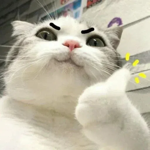 kucing 2 - Sticker 14