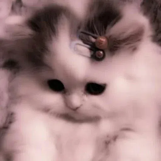 kucing 2 - Sticker 12