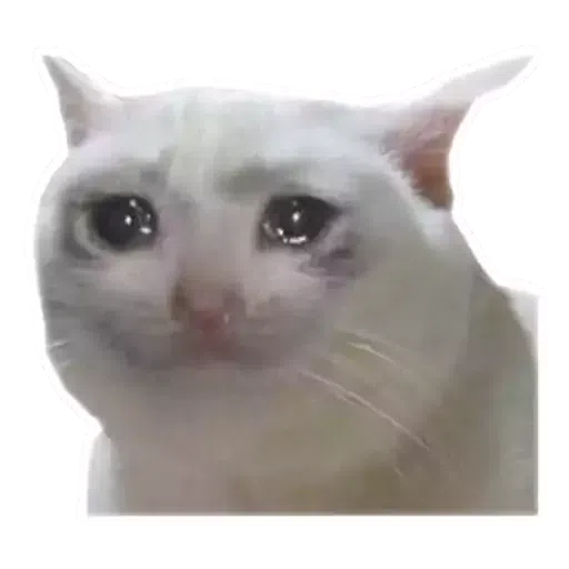 Meme - Sticker 18