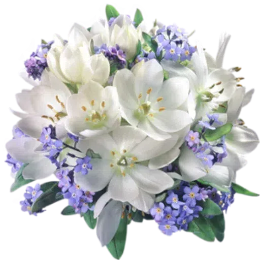 Цветы - Sticker 14