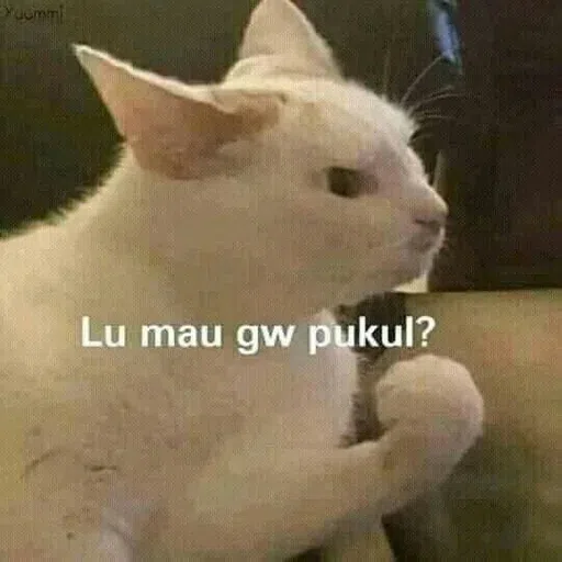Telur Separuh Masak - Sticker 27