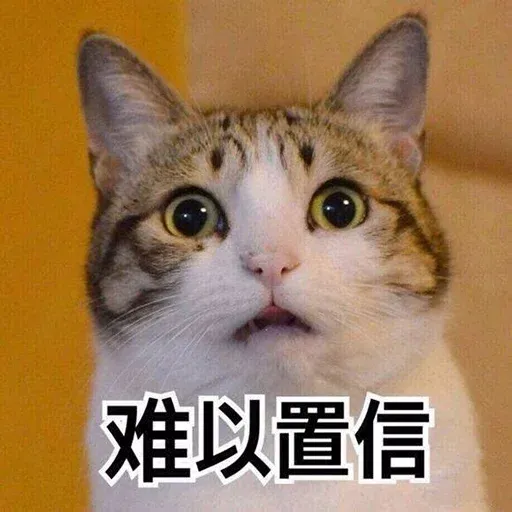 CuteCat1 - Sticker 22