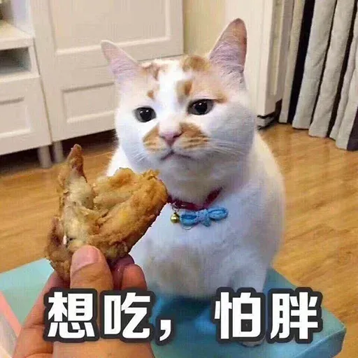 CuteCat1 - Sticker 25