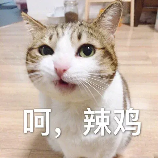 CuteCat1 - Sticker 20
