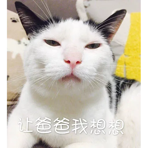 CuteCat1 - Sticker 21