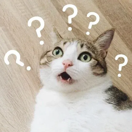 CuteCat1 - Sticker 24