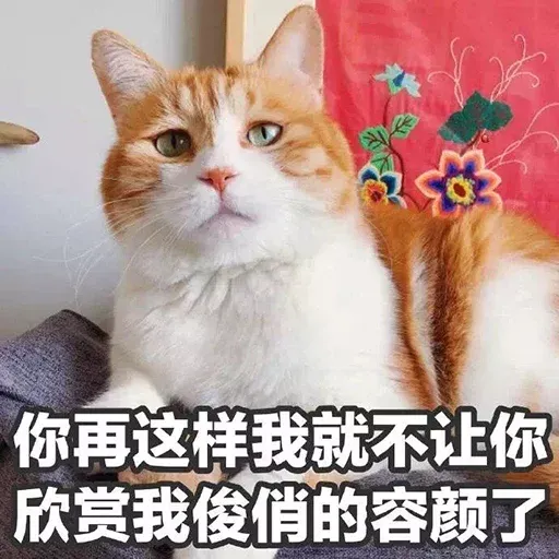 CuteCat1 - Sticker 29
