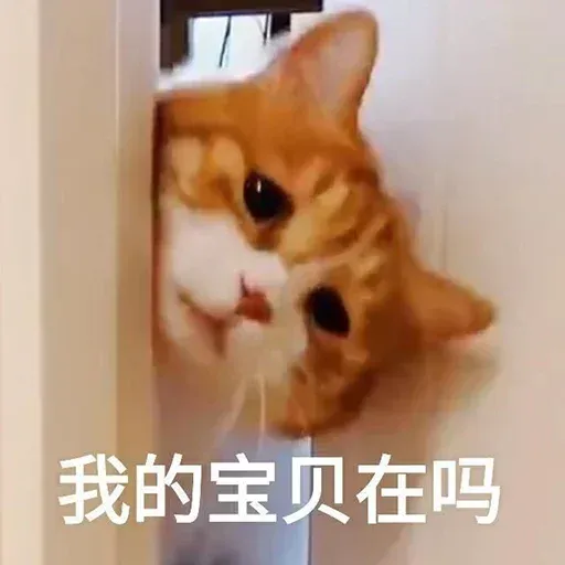 CuteCat1 - Sticker 26