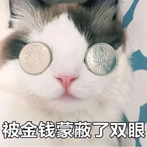 CuteCat1 - Sticker 17