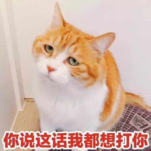 CuteCat1 - Sticker 28