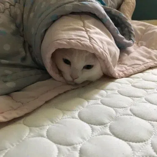 yikes - Sticker 10