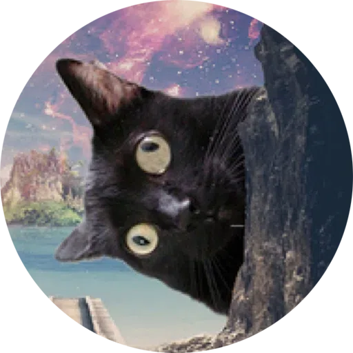 Cat - Sticker 10