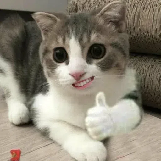 Cat - Sticker 26
