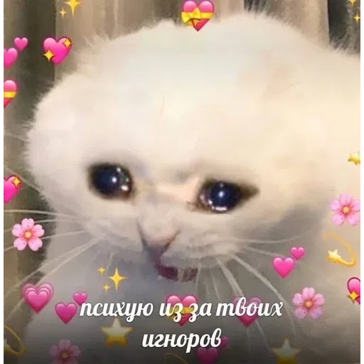 Cat - Sticker 28