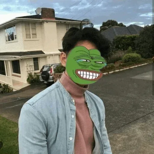 Pepe - Sticker 16