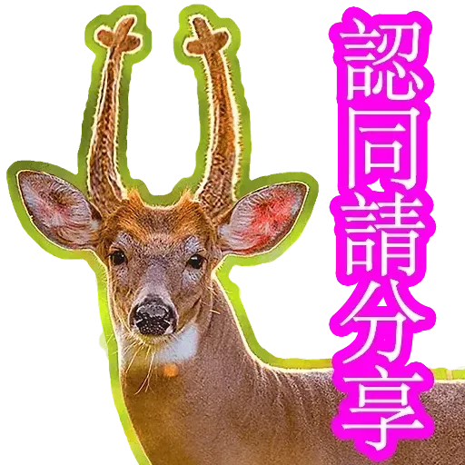 中指 - Sticker 30