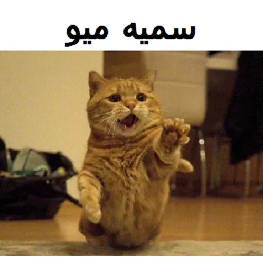 نخوندم🌚 - Sticker 12