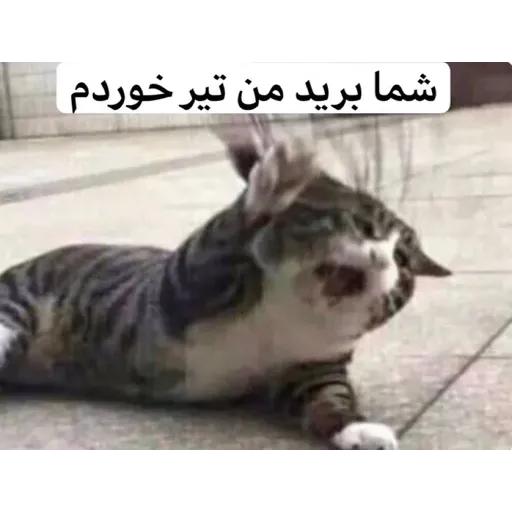 نخوندم🌚 - Sticker 11
