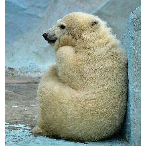 نخوندم🌚 - Sticker 16