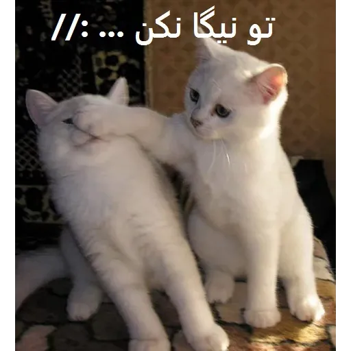 نخوندم🌚 - Sticker 18