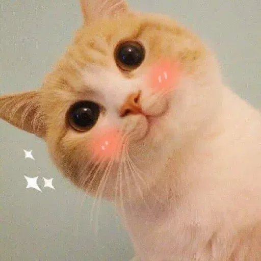 نخوندم🌚 - Sticker 20