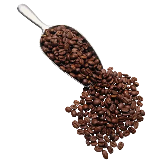 Chocolates - Sticker 18