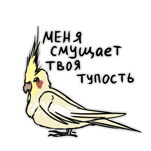 Попугаи - Sticker 10