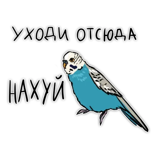 Попугаи - Sticker 22