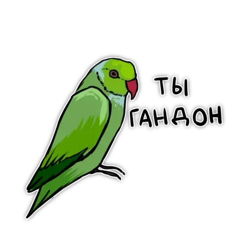 Попугаи - Sticker 13