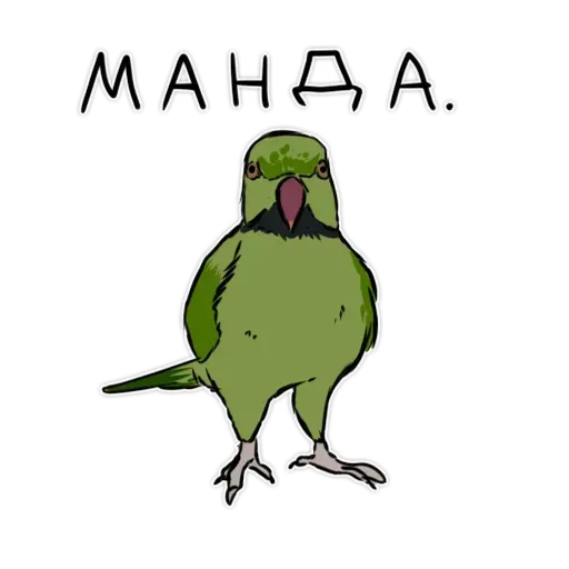 Попугаи - Sticker 28