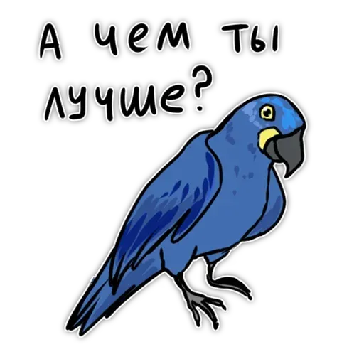 Попугаи - Sticker 14