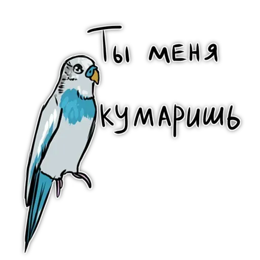 Попугаи - Sticker 12