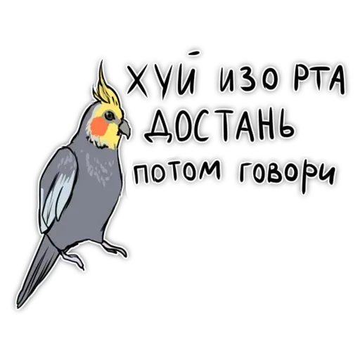 Попугаи - Sticker 25