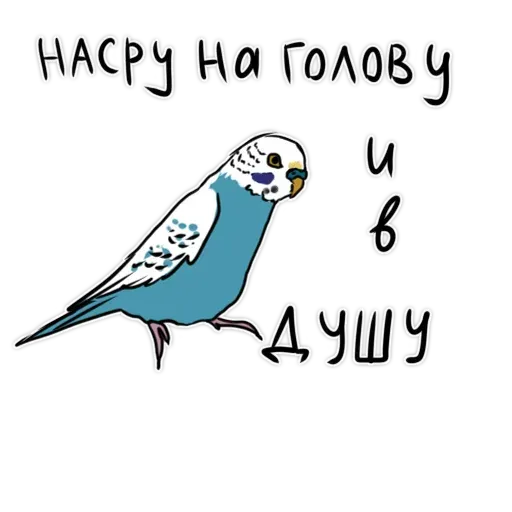Попугаи - Sticker 27