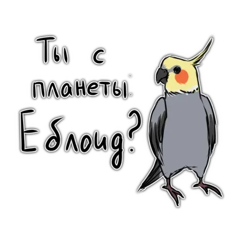 Попугаи - Sticker 26
