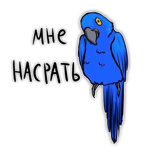 Попугаи - Sticker 21