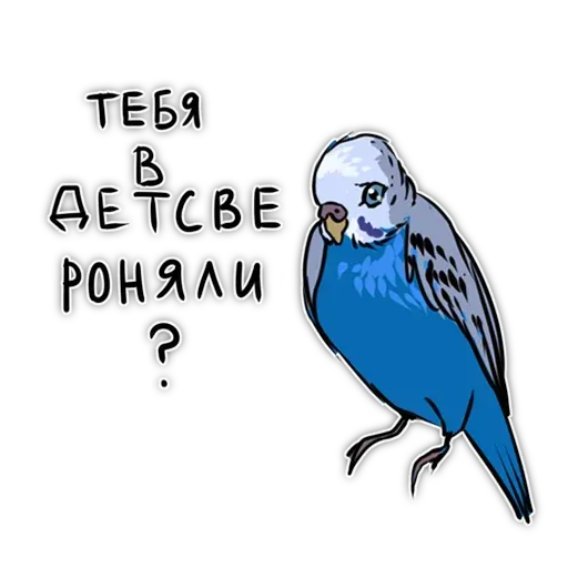 Попугаи - Sticker 19