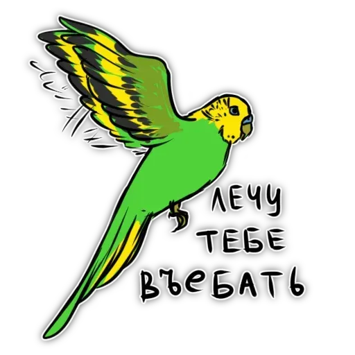 Попугаи - Sticker 11