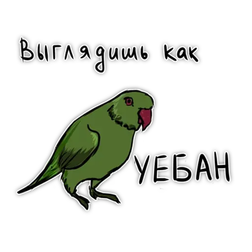 Попугаи - Sticker 24