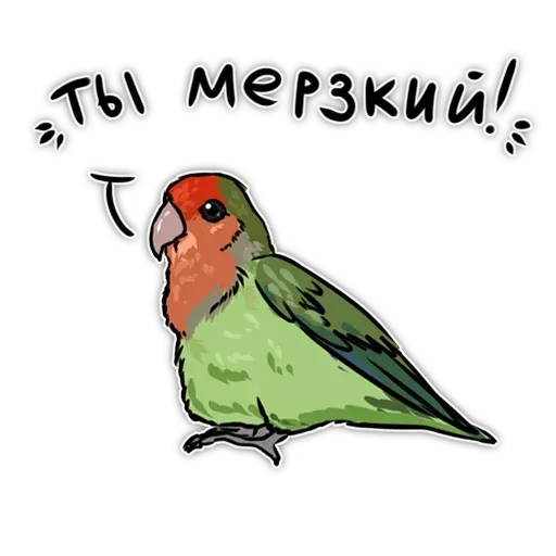Попугаи - Sticker 15
