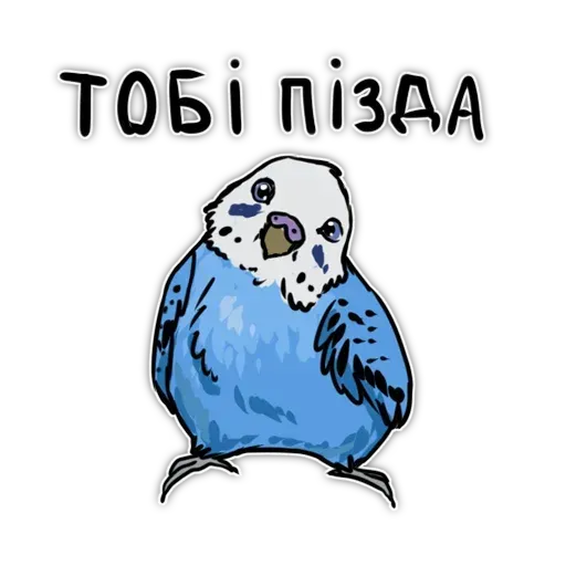 Попугаи - Sticker 16