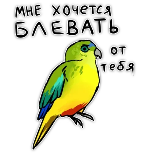 Попугаи - Sticker 18