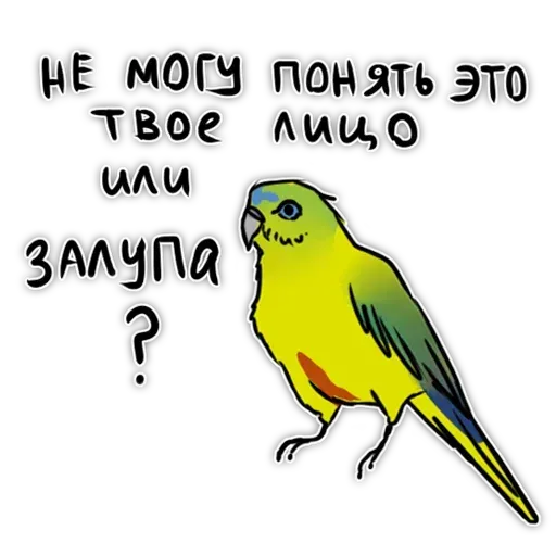 Попугаи - Sticker 17