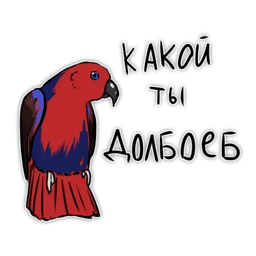 Попугаи - Sticker 23