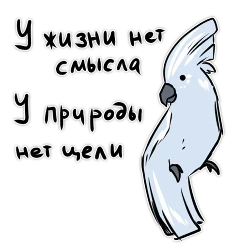 Попугаи - Sticker 9